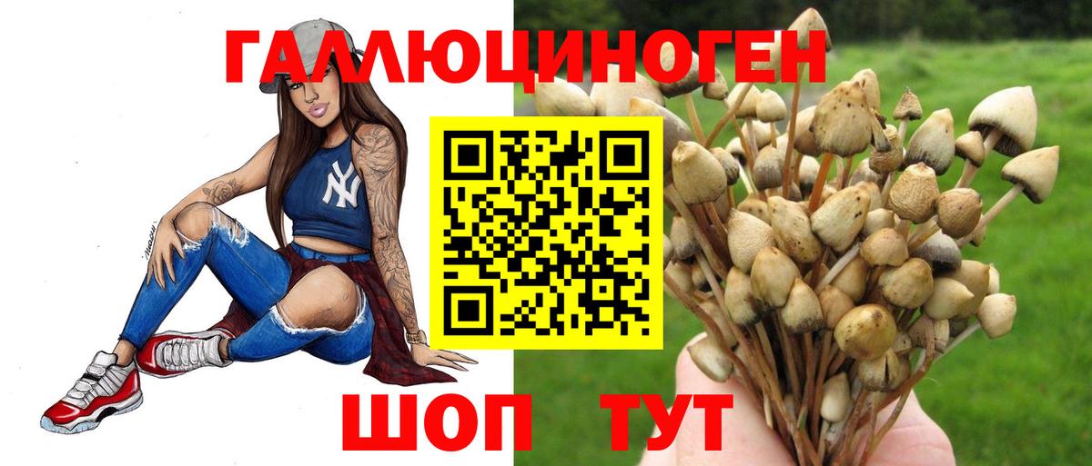 Галлюциногенные грибы Psilocybine cubensis  Вход с VPN  Галлюциногенные грибы прущие грибы  Кизилюрт 