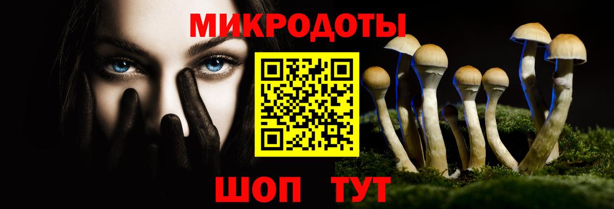Галлюциногенные грибы Cubensis Кизилюрт